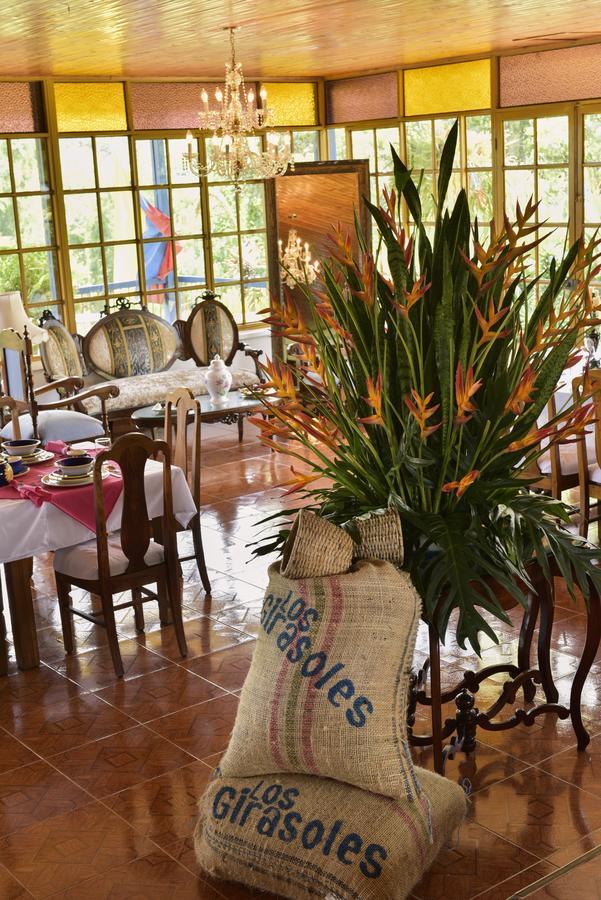 מונטנגרו Finca Hotel Los Girasoles מראה חיצוני תמונה
